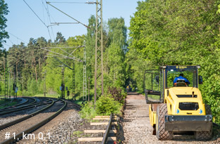 250507 Westlich Wicklesgreuth am 7.5.25