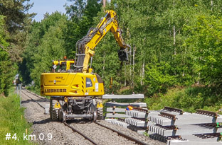 km 0,9_im Wald am 14.5.25
