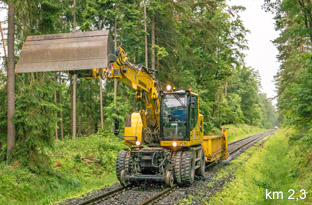 km-2,3_im Wald am 4.6.25